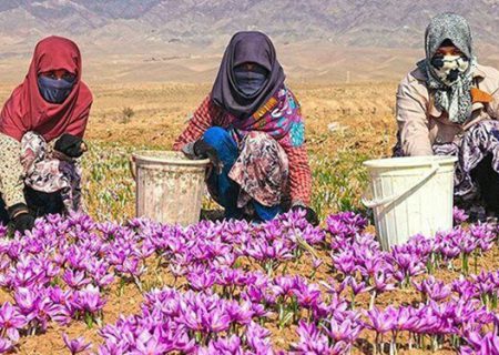 توانمندسازی زنان روستایی به همت گروه جهادی بانوان حضرت صدیقه کبری(س)