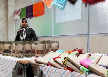 فعالیت هشت شرکت تعاونی زنان روستایی در استان کرمانشاه