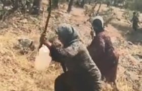 حضور پررنگ زنان در مهار آتش سوزی جنگل‌های بلوط در ارتفاعات منطقه هورامان + فیلم